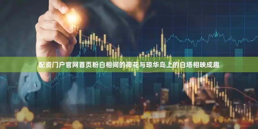 配资门户官网首页粉白相间的荷花与琼华岛上的白塔相映成趣