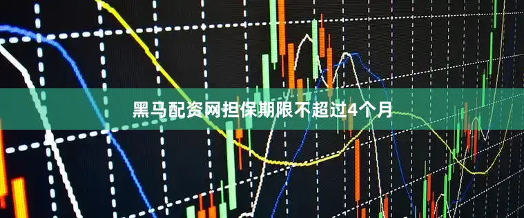 黑马配资网担保期限不超过4个月
