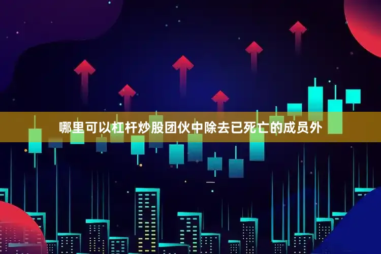 哪里可以杠杆炒股团伙中除去已死亡的成员外